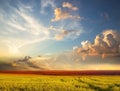 Nature landscape contryside green grass field trees and sun beam on cloudy fluffy blue and pink sky