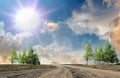 Nature landscape contryside green grass field trees and sun beam on cloudy fluffy blue and pink sky