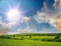 Nature landscape contryside green grass field trees and sun beam on cloudy fluffy blue and pink sky