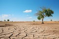 Nature landscape of cracked ground in field due to drought