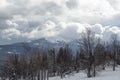 Nature landscape. Cumulus fluffy clouds looming over the spruce winter forest