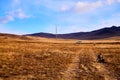 Nature landscape with dog, car, golden grass, yellow hills and blue sky on background. Concept of world beautiful travel Royalty Free Stock Photo