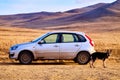 Nature landscape with dog, car, golden grass, yellow hills and blue sky on background. Concept of world beautiful travel Royalty Free Stock Photo