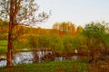 Nature landscape with field, water of lake or swamp and big tree on the foreground Royalty Free Stock Photo