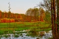 Nature landscape with field, water of lake or swamp and big tree on the foreground Royalty Free Stock Photo