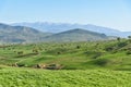 Nature landscape in Lorestan Province. Iran Royalty Free Stock Photo