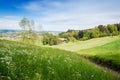 Nature landscape of forest clearing above a village in St. Galle Royalty Free Stock Photo