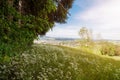 Nature landscape of forest clearing above a village in St. Galle Royalty Free Stock Photo