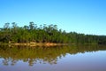 Nature of Landscape, Green pine forest area with tranquil lake reflection and clear blue sky Royalty Free Stock Photo