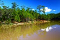 Nature of Landscape, Green pine forest area with tranquil lake reflection and clear blue sky in the morning Royalty Free Stock Photo