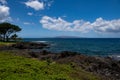 Nature landscape in Hawaii, tropical beach with palm tree in crystal clear sea. Royalty Free Stock Photo