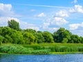 Nature landscape with lake river trees in forest reeds and meadow on a sunny spring summer day with blue partial cloudy sky Royalty Free Stock Photo