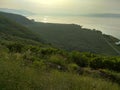 Nature landscape lakeside