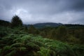 Nature landscape at Loch Lomond and The Trossachs National Park in a rainy day, Scotland, United Kingdom Royalty Free Stock Photo