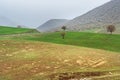Nature landscape in Lorestan Province. Iran Royalty Free Stock Photo