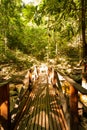 Nature Landscape at Mae Kampong Waterfall Royalty Free Stock Photo