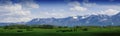 Nature landscape, meadow and mountain of Altay