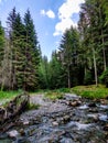 Nature landscape in the mountains with river and trees adventure scenery