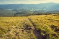 Nature landscape with mountains and rural way in grass. Beautiful scenery in the Carpathian Mountains Royalty Free Stock Photo