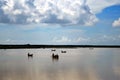 Nature Landscape in Muhori River. River beauty in South Asia.