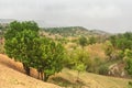 Nature landscape in Lorestan Province. Iran Royalty Free Stock Photo