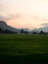 Nature landscape panorama view of green grass field meadow with alps mountain silhouette Allgaeu Bavaria Germany alps Royalty Free Stock Photo