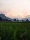 Nature landscape panorama view of green grass field meadow with alps mountain silhouette Allgaeu Bavaria Germany alps Royalty Free Stock Photo