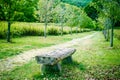 Nature landscape with Relaxing bench and path in park