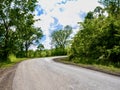 Nature landscape scene of an uphill winding curve road surrounded by green trees on both sides and a bright blue sky in the