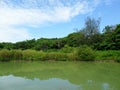 Nature landscape of Sheding Natural Park in Kenting National Park Royalty Free Stock Photo