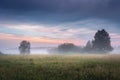 Nature landscape of spring meadow in the mist at dawn. Colorful sky over calm field and trees. Wild nature. Amazing view on a Royalty Free Stock Photo