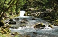 Nature landscape, Sunik water hurst, Slovenia