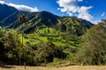 Nature landscape of tall wax palm trees in Valle del Cocora Valley. Salento, Quindio department. Colombia mountains landscape. Royalty Free Stock Photo