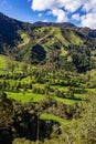 Nature landscape of tall wax palm trees in Valle del Cocora Valley. Salento, Quindio department. Colombia mountains landscape. Royalty Free Stock Photo