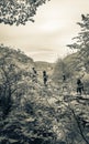 Nature landscape tourists on footbridge. Plitvice Lakes National Park Croatia