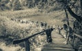 Nature landscape tourists on footbridge. Plitvice Lakes National Park Croatia