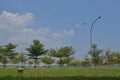 a green city park with a majestic blue sky in the background