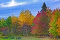 Nature landscape, Trees changing colors