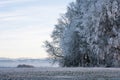 Nature landscape trees in frost, mountain view in winter Royalty Free Stock Photo