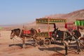 Nature landscape view of the Flaming Mountain and camel in Turpan Xinjiang Province China