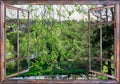 Nature landscape with  view through a window with curtains Royalty Free Stock Photo