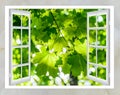 Nature landscape with view through window Royalty Free Stock Photo