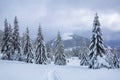 Nature landscape. Winter scenery with pine trees, mountains and the lawn covered by snow with the foot path. Blue sky with clouds Royalty Free Stock Photo