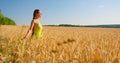 Woman walking through a field touching with hands wheat ears. Go everywhere. Girl enjoying field in nature at soft Royalty Free Stock Photo
