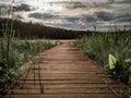 Nature landscape with wooden pantoon, green grass, lake and cloudy sky before rain Royalty Free Stock Photo