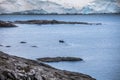 Nature and landscapes of the coast Antarctica, beautiful rocks, ocean.