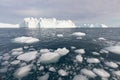 Nature and landscapes of Greenland or Antarctica. Travel on the ship among ices. Studying of a phenomenon of global warming Ices