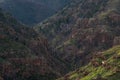 Pikes peak mountain range colorado springs Royalty Free Stock Photo