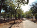 Nature and lanes inside the bicycle park