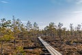 Nature of Latvia, Great Kemeri Swamp: Panoramic autumn landscape with wooden path over the swamp. Fall nature background Royalty Free Stock Photo